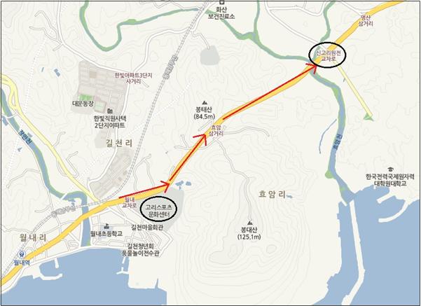 신고리 5·6호기 백지화 차량행진 그림